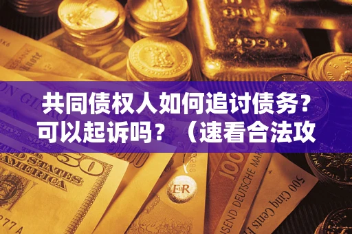 北京共同债权人如何追讨债务？可以起诉吗？（速看合法攻略）